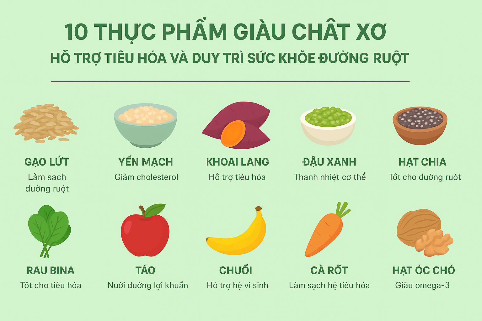 10 Thực Phẩm Giàu Chất Xơ Hỗ Trợ Tiêu Hóa Và Duy Trì Sức Khỏe Đường Ruột